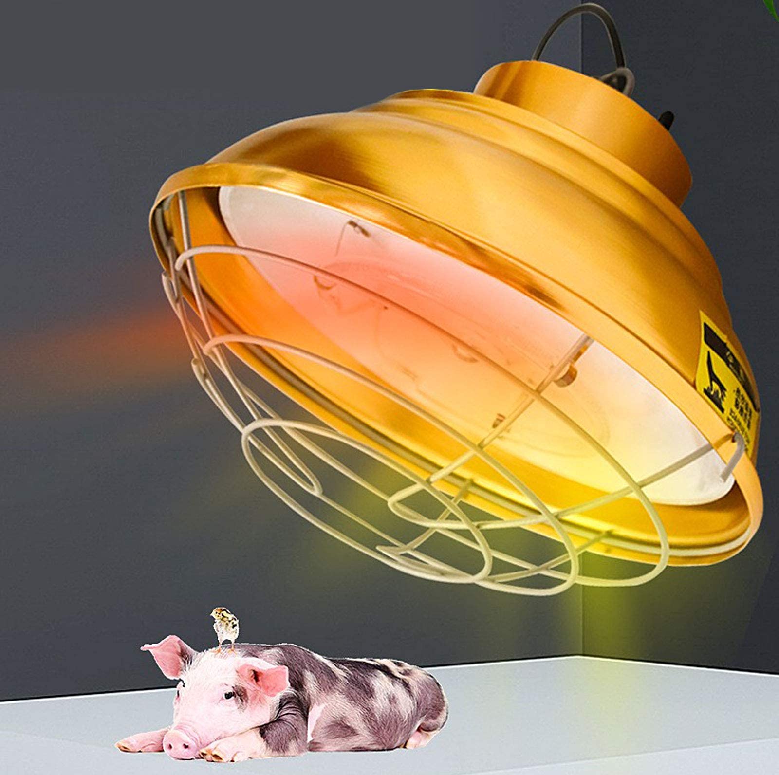 Lampada riscaldante per pulcini, polli, per animali, perfetta per porcellini d'India, agnelli, pini e cuccioli, per tenere al caldo gli animali, 200-400 W