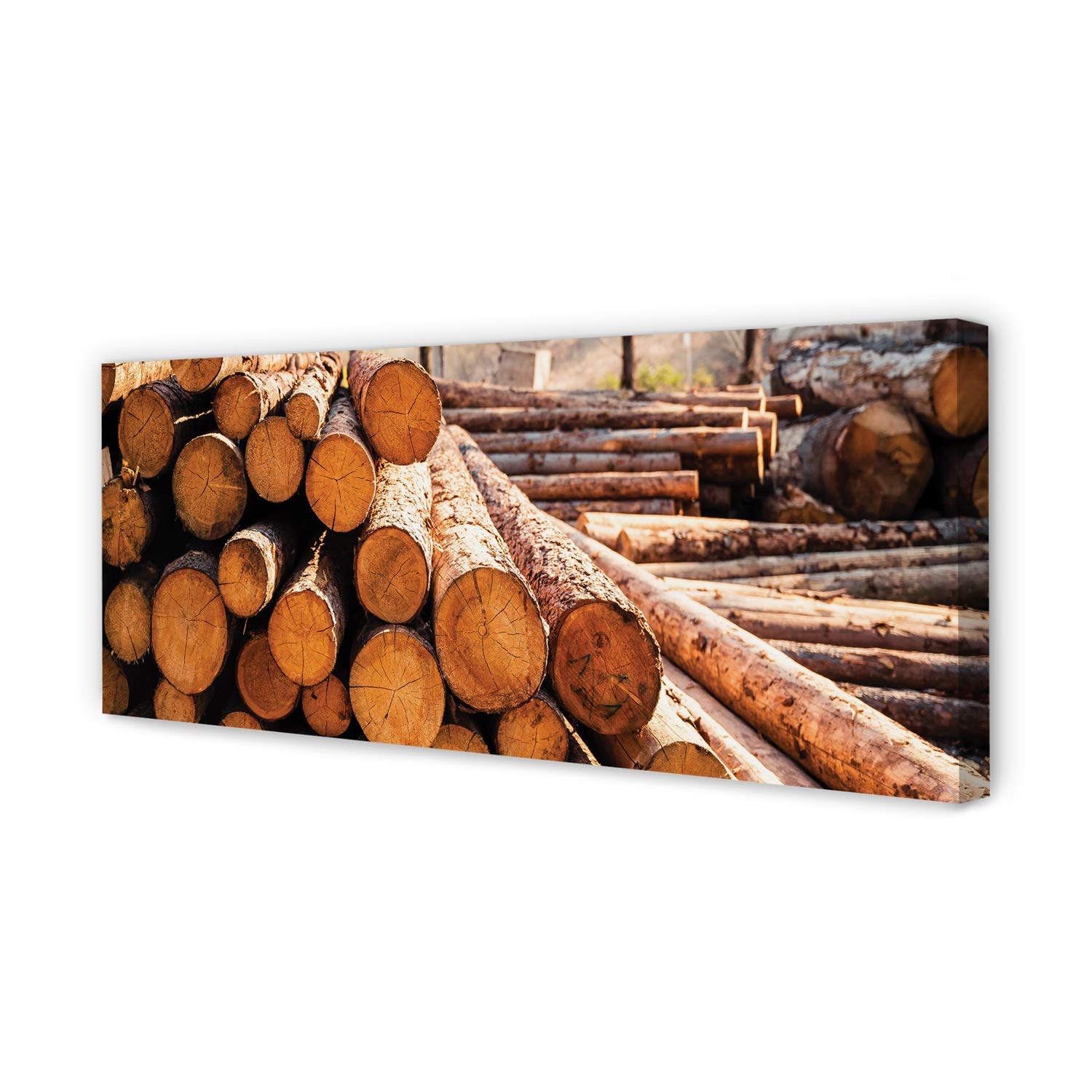 Tableau sur toile 125x50cm Les boules en bois Tulup décoration murale