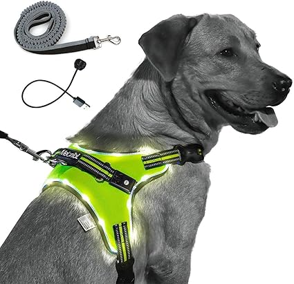 amazon uk dog harness