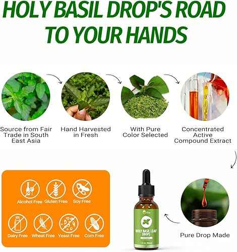 Miniatura 6 de Tintura líquida de extracto de hoja de albahaca sagrada (Tulsi), suplemento de hierba de albahaca santa, 98% de absorción, sin alcohol, vegano, sin