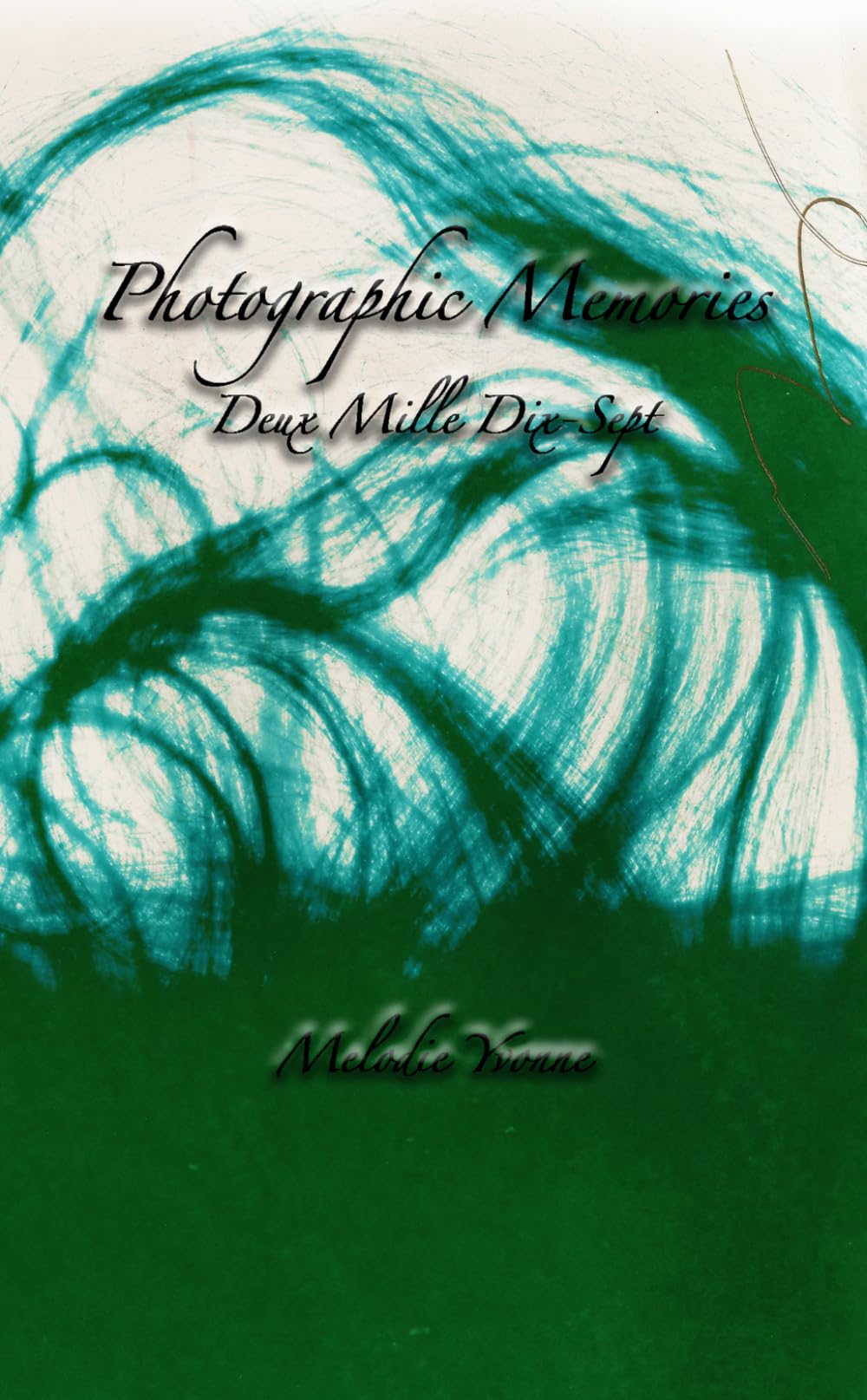 Photographic Memories: Deux Mille Dix-Sept