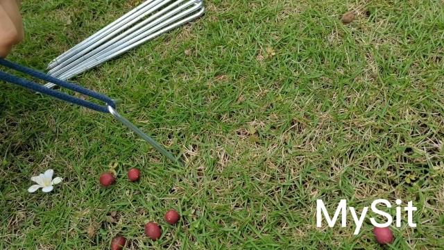 MySit Estaca para Tienda 9 Pulgadas Pack de 30 de Alta Resistencia Anti-Rust para Suelo miniatura 7