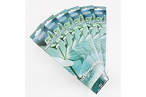 Hosley Eucalyptus Mint Fragrance Incense Sticks: Uplift Your Senses with Nature's Essence