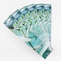 Vista 14 de Hosley Paquete de 120 varillas de incienso + paquete de 120 unidades (total 240), cereza negra, paquete a granel perfecto para el hogar, meditación