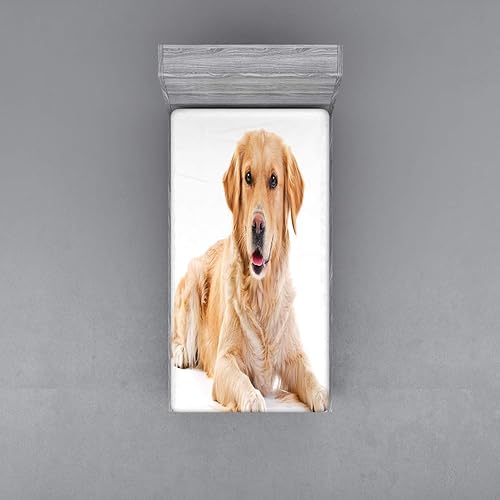 Miniatura 2 de Ambesonne Golden Retriever Fitted Sheet, Young Pedigree Puppy Laying Over White Background Dog, Bed Cover with All-Round Elastic Deep Pocket for