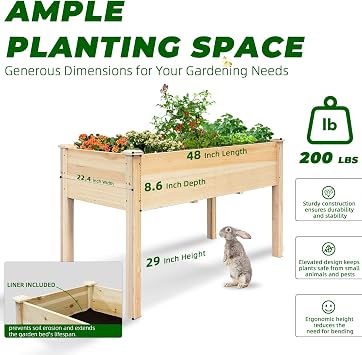 BSP Raised Garden Bed with Legs Outdoor Elevated Planter Box Flower Bed Wood Planter for Vegetable Herb Upgraded Solid Structure Growing Box Suitable for Backyard Patio and Balcony, 48L X 24W