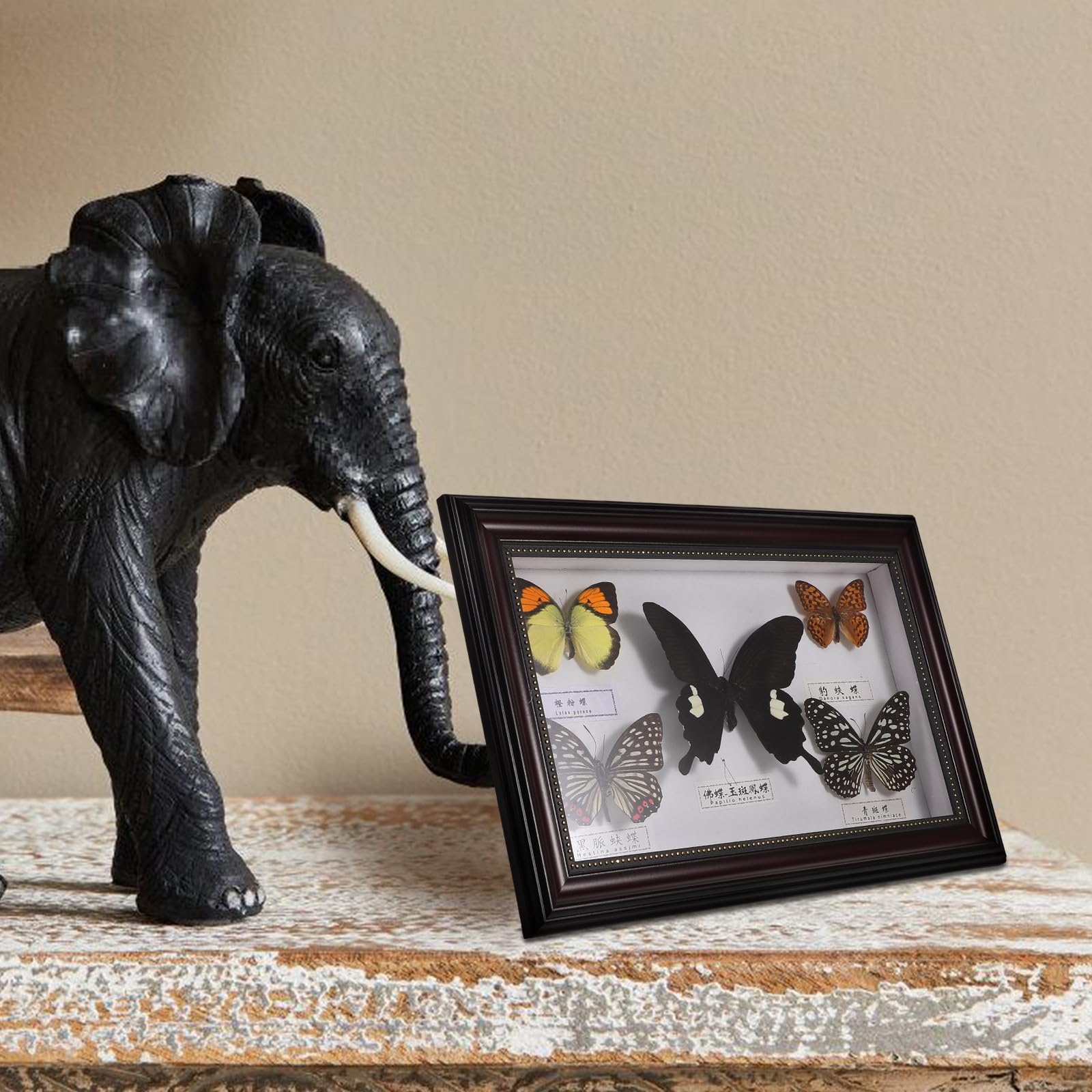 Marco de Fotos Decorativo de Madera Mariposas para Decoración de Pared Hogar, Diseño Práctico y Versátil Estilo Retro y Elegante