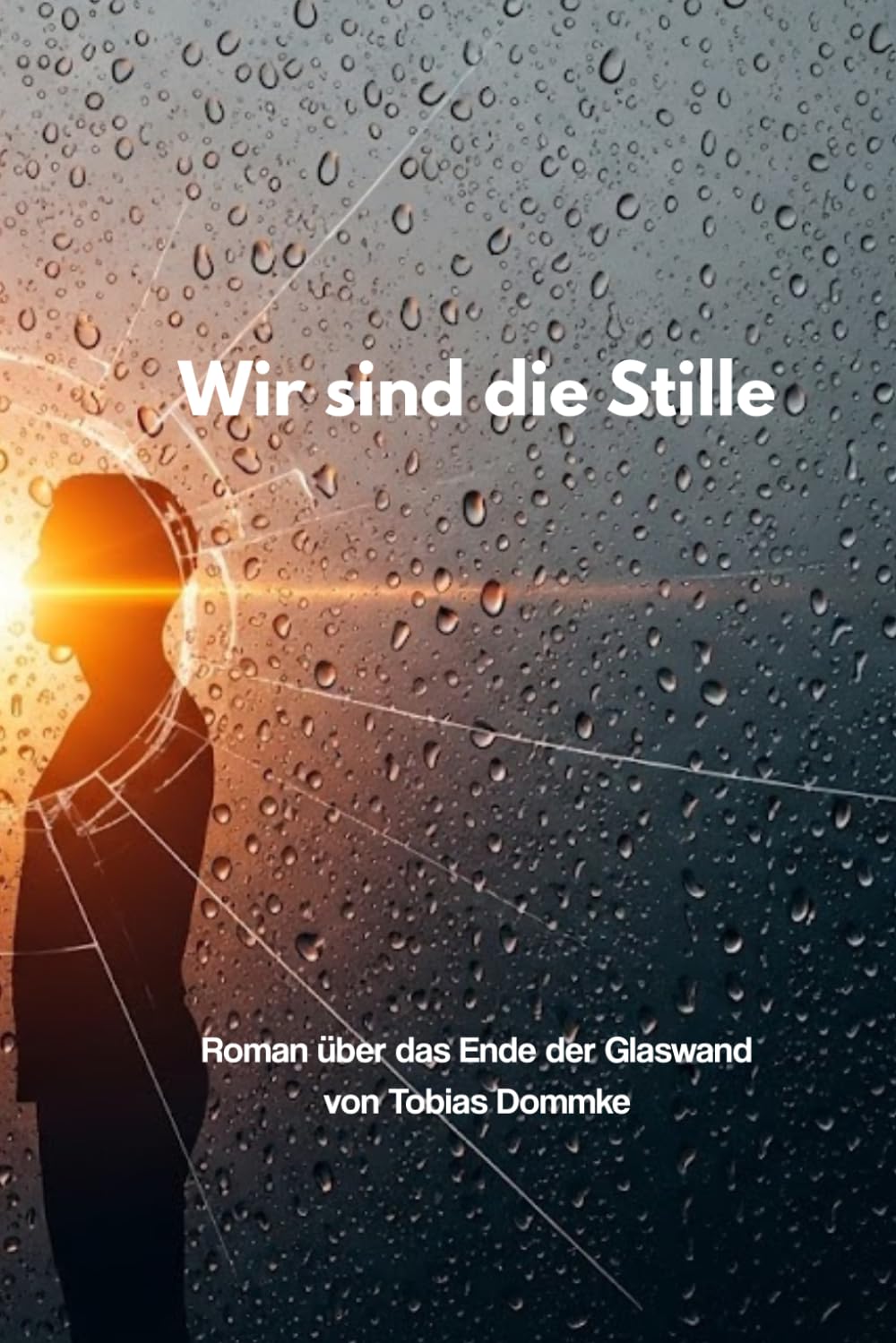 Wir sind die Stille: Roman über das Ende der Glaswand