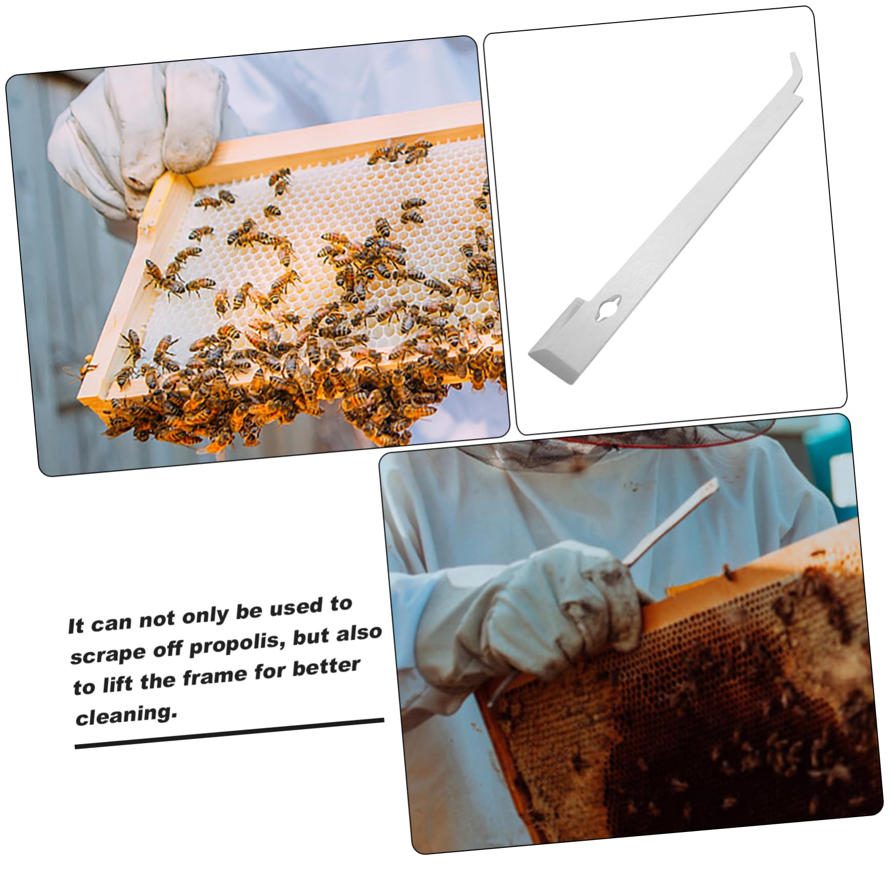 Didiseaon 5 Pezzi Di Strumenti Per L'Apicoltura Raschietto Per Apicoltore Raschietto Per Alimentatore Detergente Per Finestre Sicurezza Forniture Per L'Apicoltura Strumento