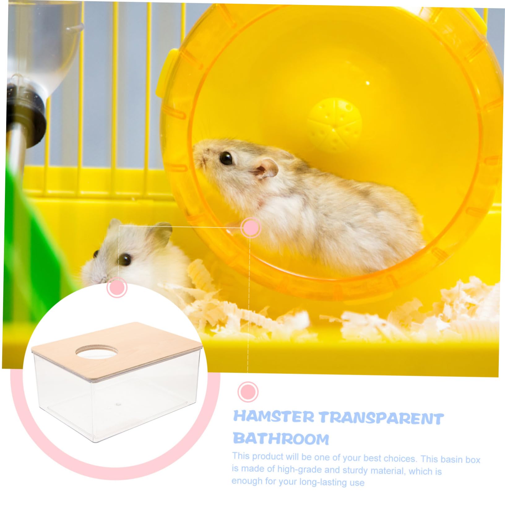 POPETPOP Transparente Hamster Sandbadebox Groß aus Acryl und Holz