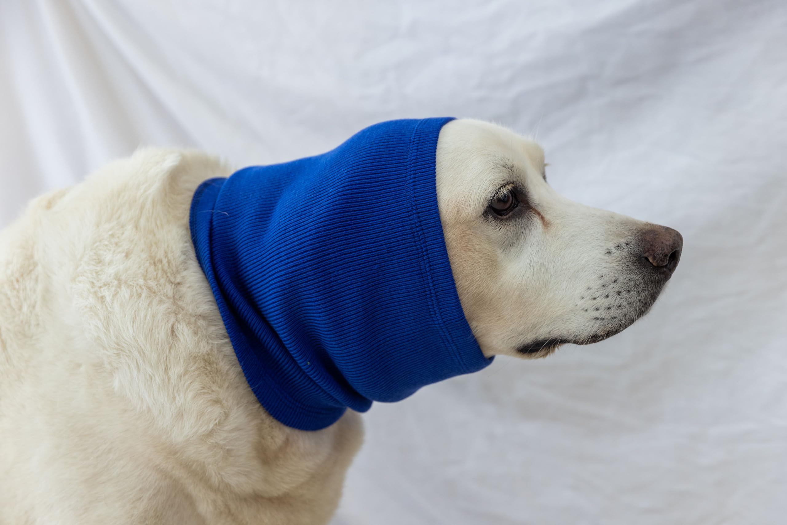 Dog Ear Muffs for Noise Cancelling, Ear Covers Outdoor Activities Neck Snood for Dog (Blue L)