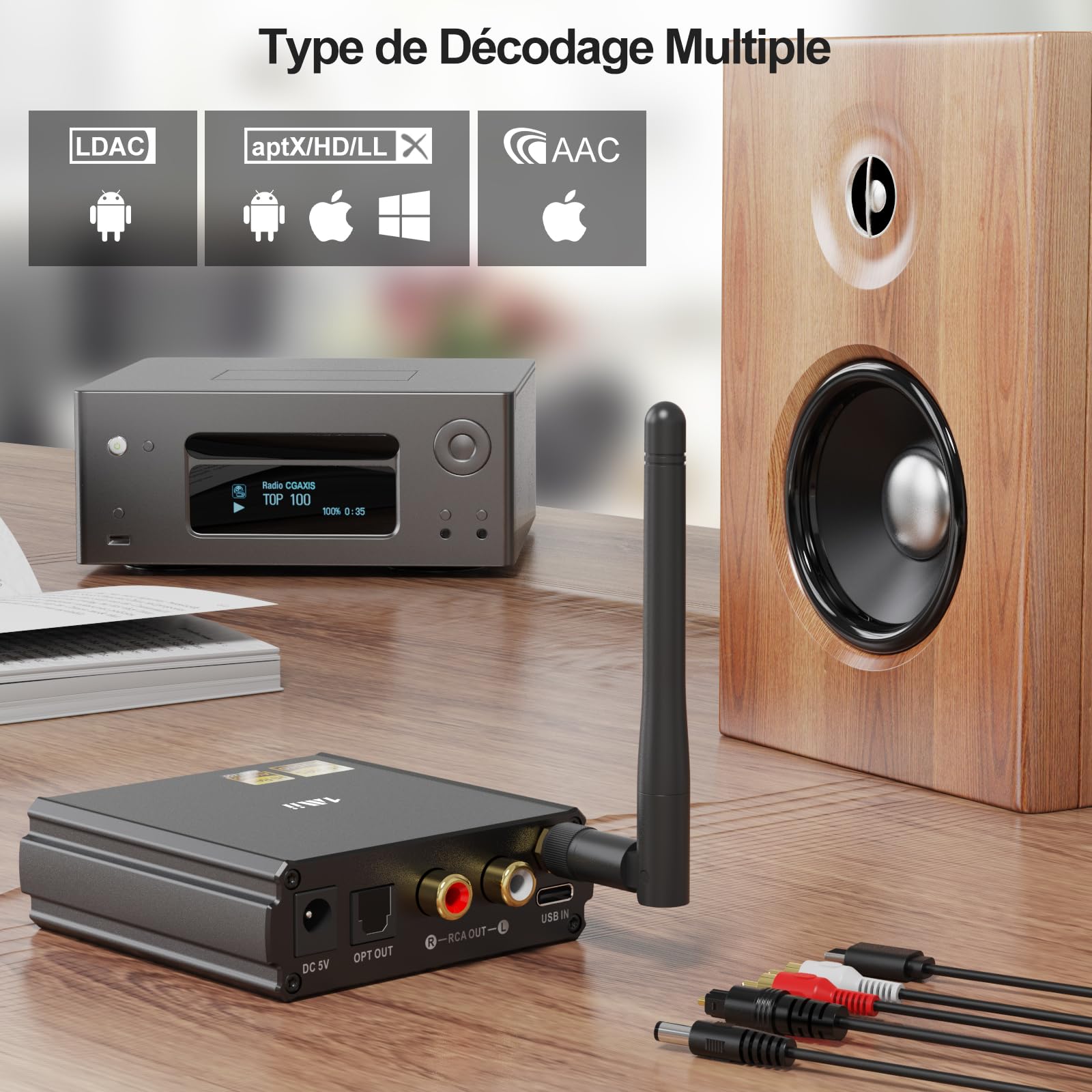 1Mii DS220 Recepteur Bluetooth Hi-Res pour Stéréo Domestique | avec LDAC, Adaptateur Audio HiFi Bluetooth 5.3 avec Audiophile DAC aptX HD Affichage OLED Mode