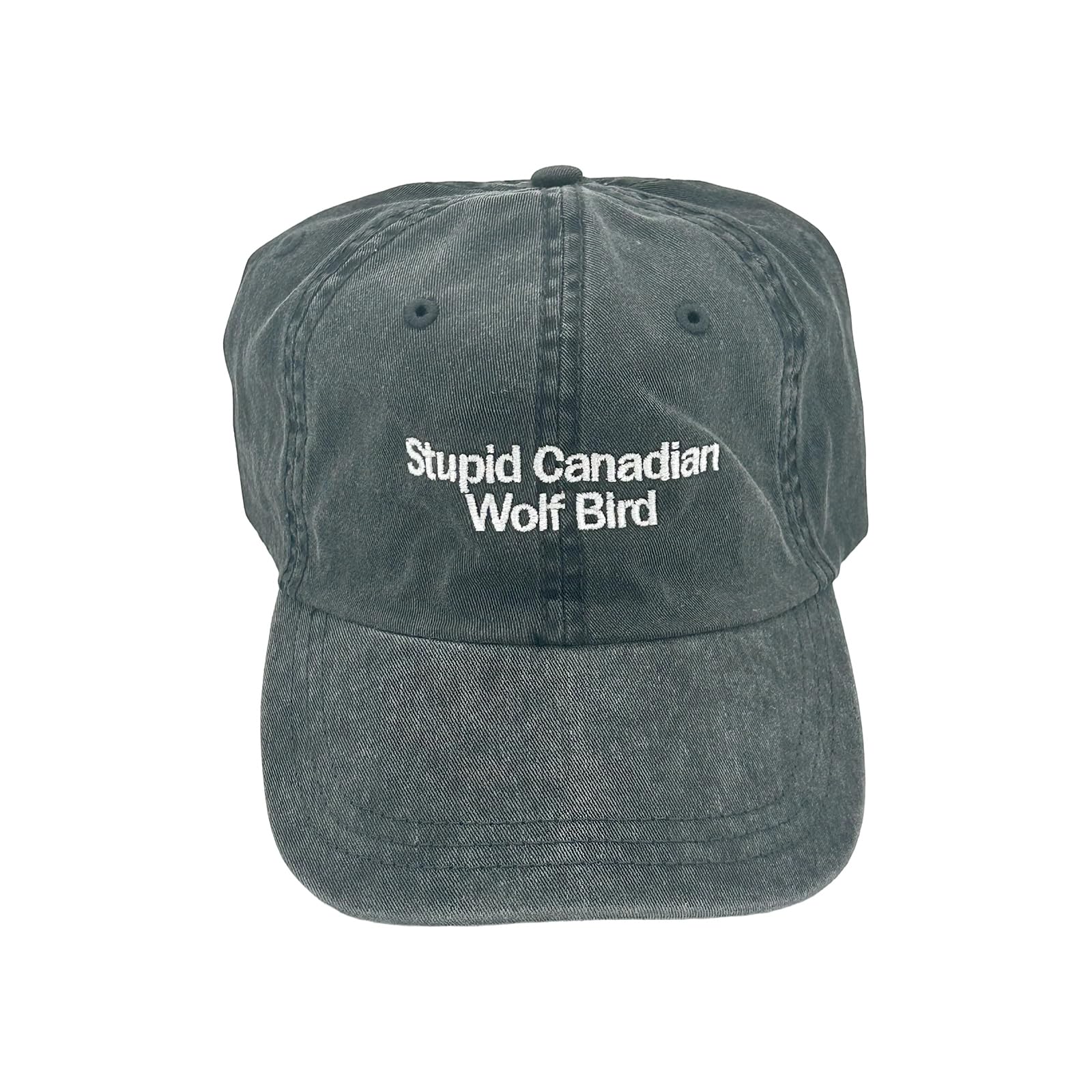 BCFSITNBH Heated Rivalry Baseball Cap, Heated Rivalry Merch, Hockey Romance TV BL Gay Inspired Hockey Logo Casual Baseball Cap Summer Trucker Hat Sun Snapback Sun Hats for Fans B01