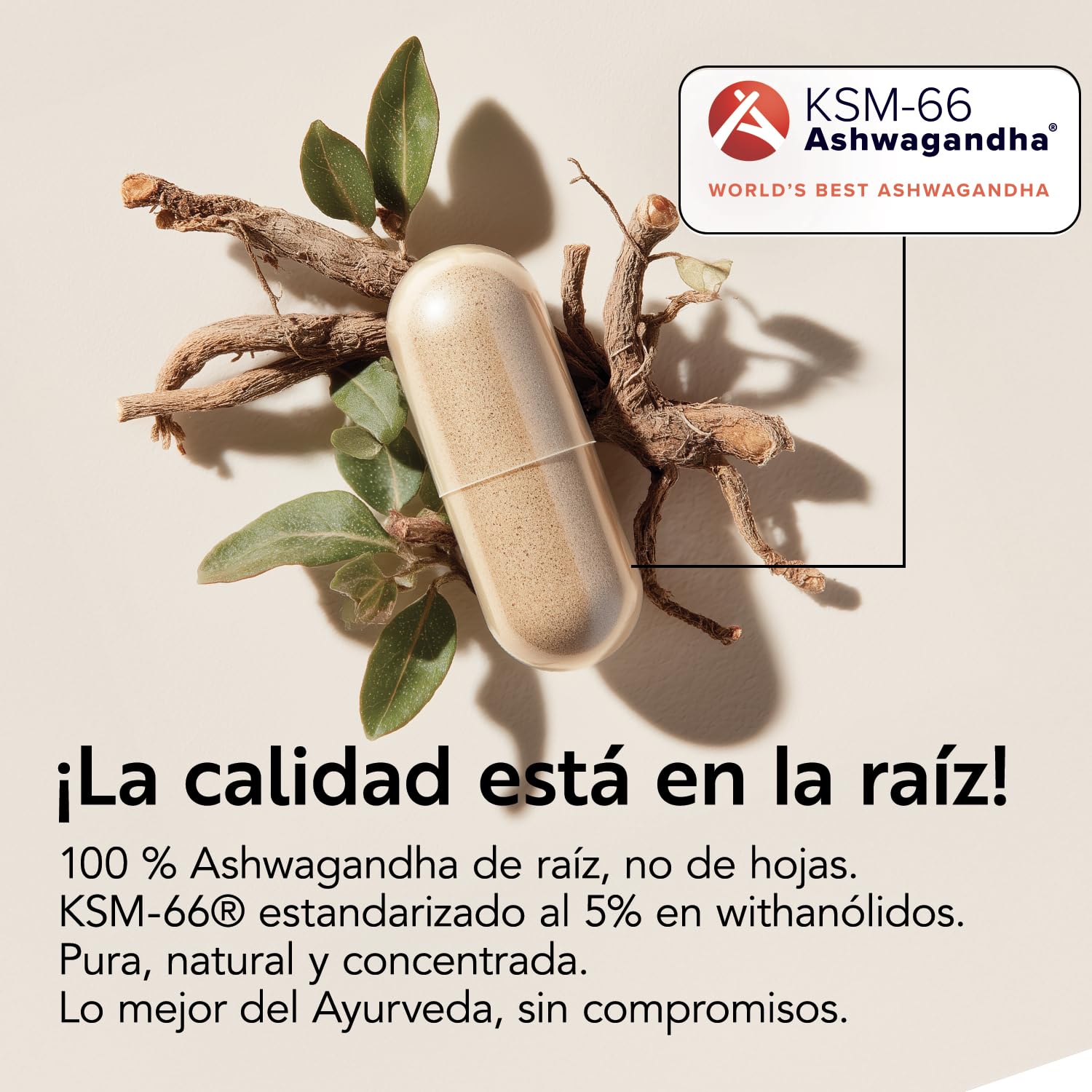 Ashwagandha KSM-66 600mg PiùLife, 180 Cápsulas, Extracto De Raíz Withania Somnifera 5% Withanólidos, Ashwagandha Con Pimienta Negra, Estrés Y Bienestar Mental, De Agricultura Ecológica
