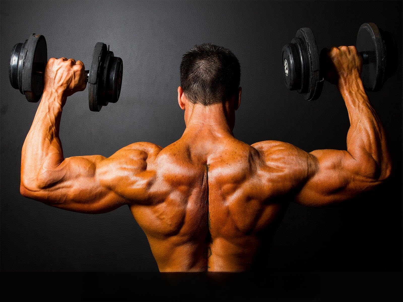 WORKOUT Poster Fitness Poster Bodybuilding Poster Gym Poster 18x24