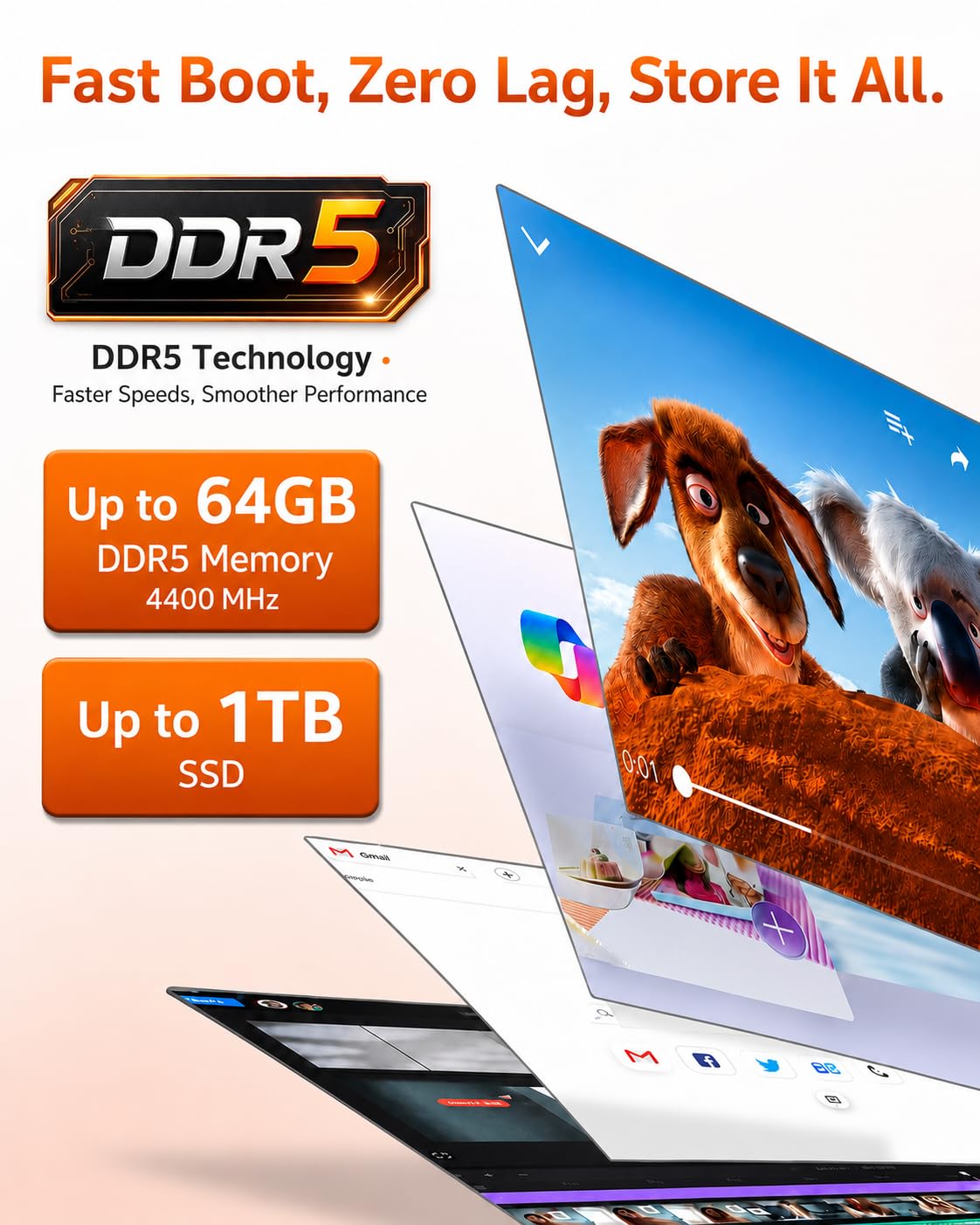 Amazon.com: Dell 15.6
