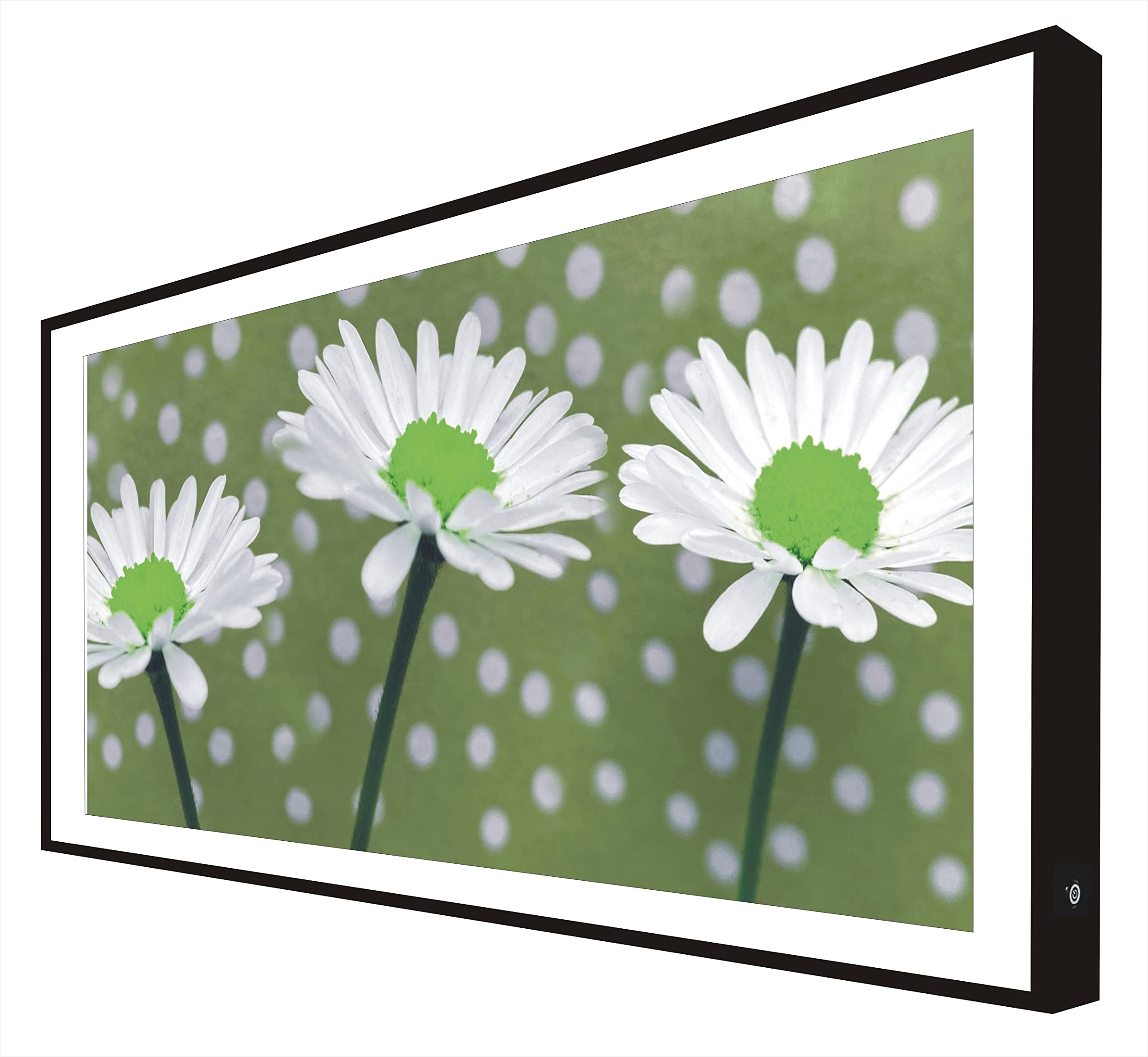 Cadre bois laqué noir LED avec fleurs blanches lumineuses pour déco