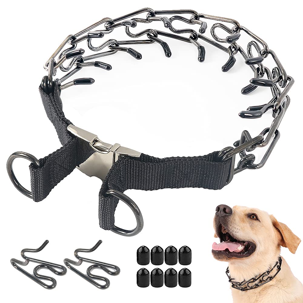 prong collar cover amazon