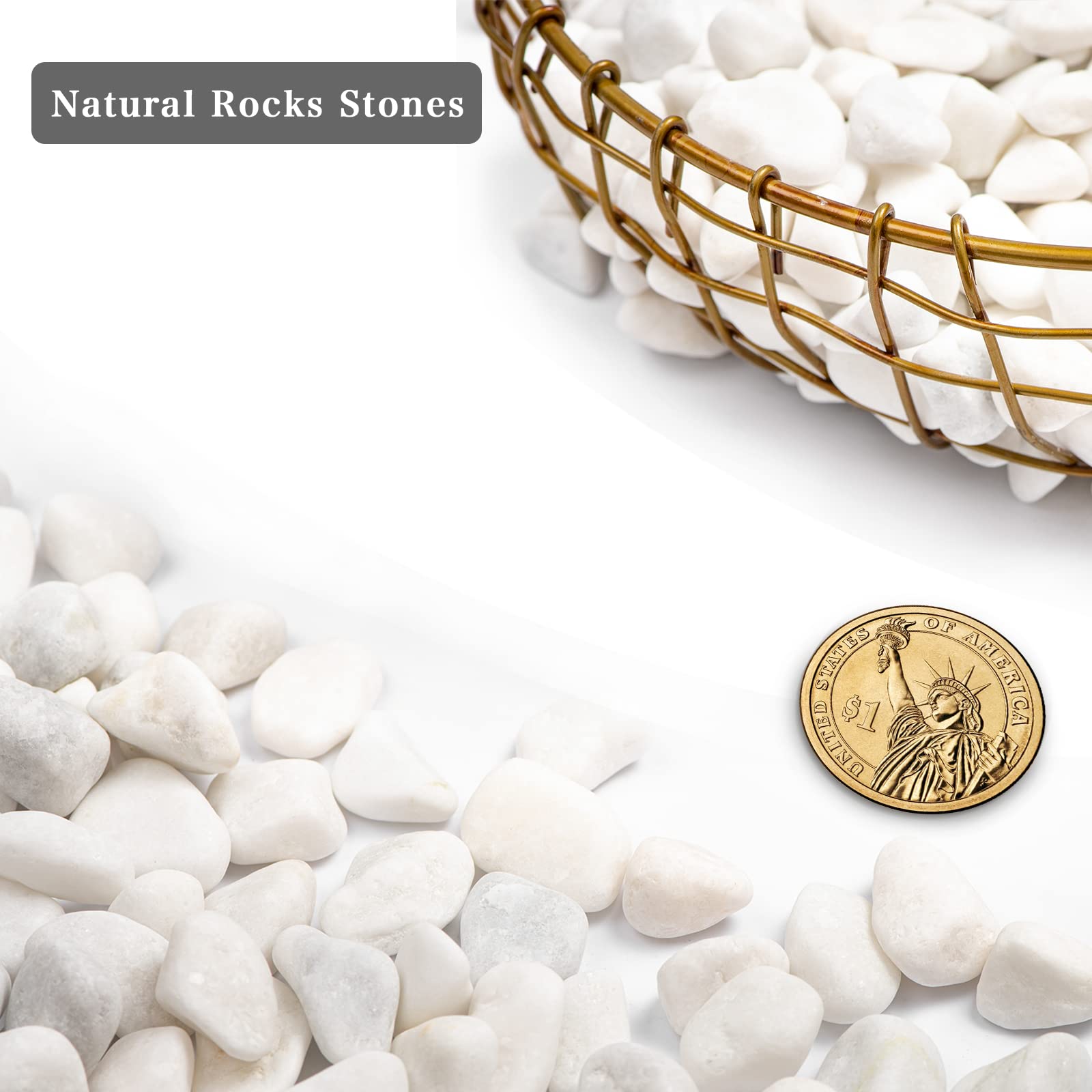 Rocas de río naturales blancas de 5 libras, piedras pulidas para plantas de jardín, piedras blancas decorativas de 0.3 a 0.8 pulgadas, ideal para peceras, jarrones, manualidades, decoración