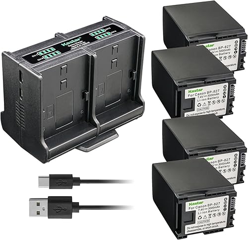 Kastar 4-Pack Battery and Quadruple Charger Compatible with Canon VIXIA HG21, VIXIA HF G10 HFG10, VIXIA HF G20 HFG20, VIXIA HF G30 HFG30, VIXIA HF