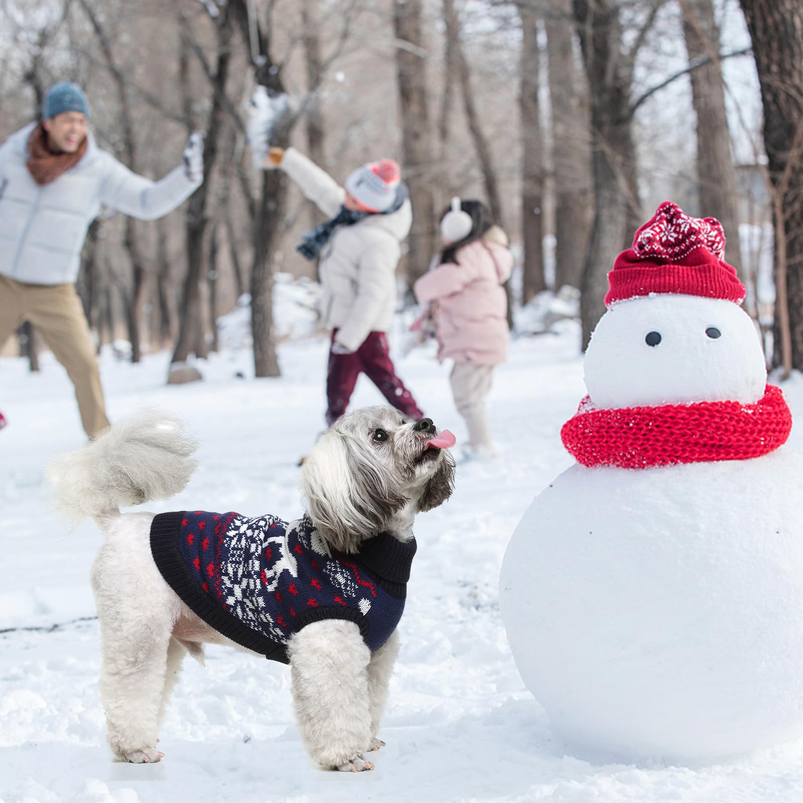 SCENEREAL Knitwear Hundepullover Winterkleidung – Weihnachtspullover für Hunde, warme Mäntel, klassisches Muster