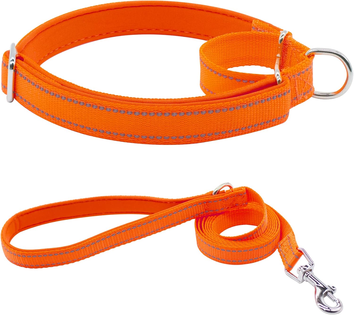 HSIGIO Nylon Martingale Dog Collar, Adjustable Reflective