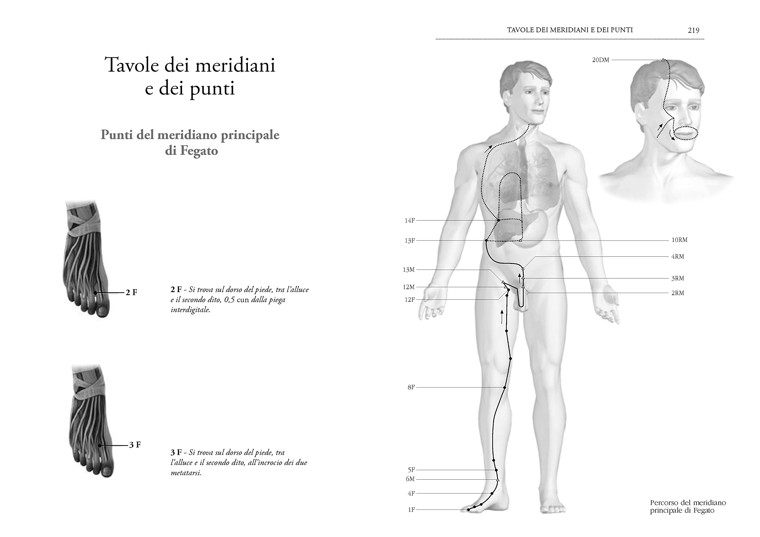 Medicina cinese e stagioni. Agopuntura, dietetica, fitoterapia, aromaterapia per i disturbi stagionali