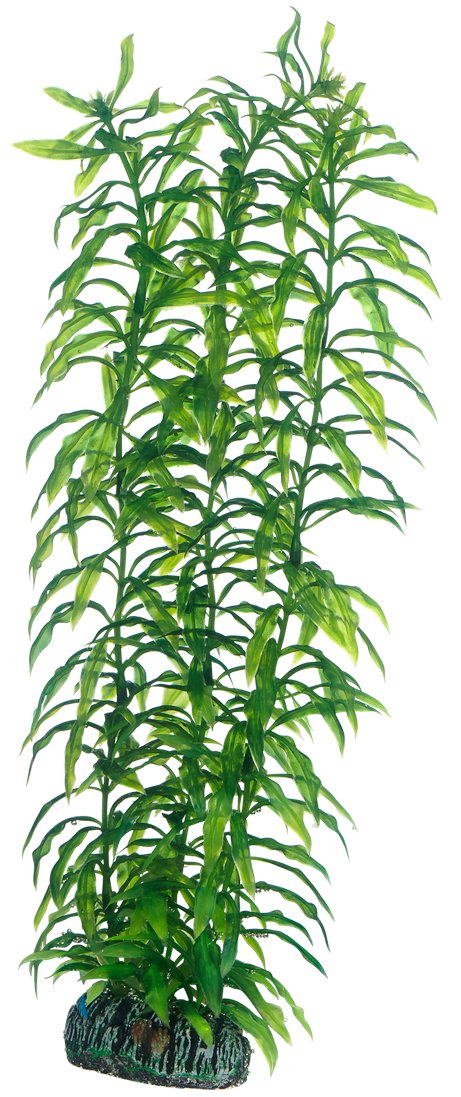 Hobby Artificial Aquarium Plant, 1 Count, 34 cm, Grün, Natural, Round, 1 Item, Aquarium