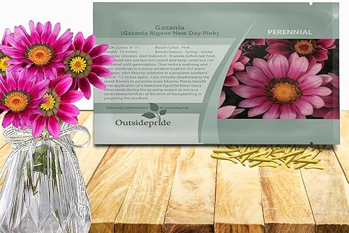 Outsidepride New Day Pink Gazania Semillas para plantar  50 piezas de semillas perennes, de bajo mantenimiento, tolerantes a la sequía para flores