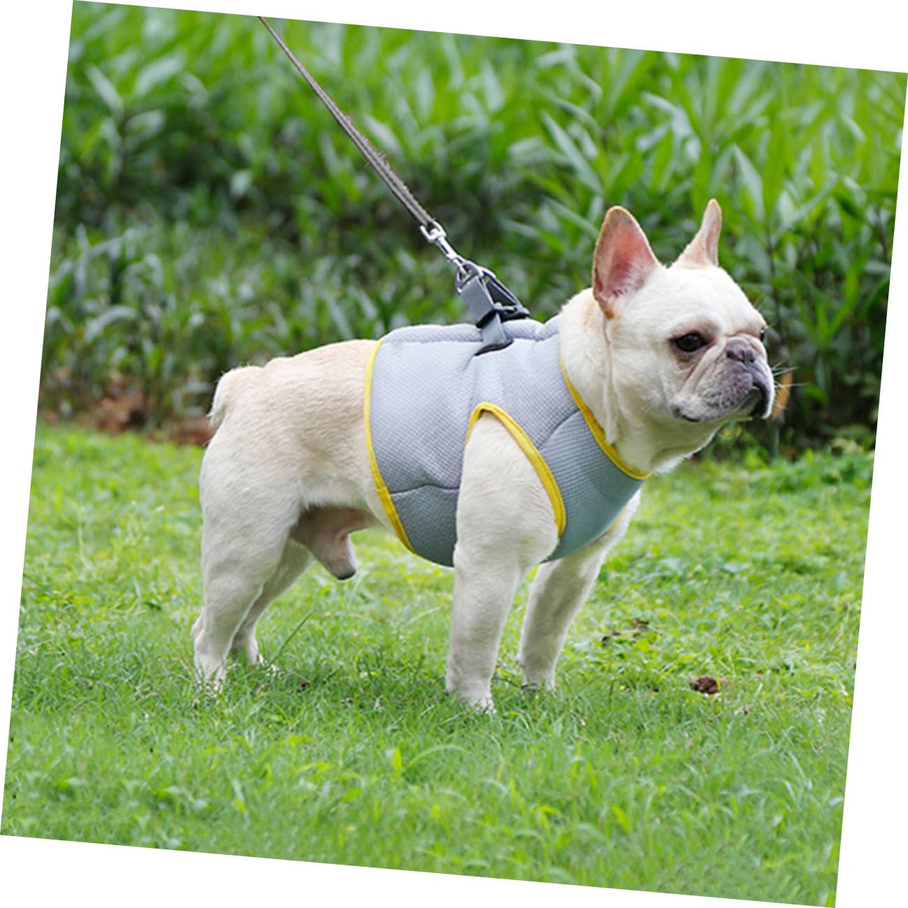 Gilet Rafraîchissant pour Chien Respirant XL pour Activités Extérieures Poitrine Confort Optimal Et Système De Libération Rapide