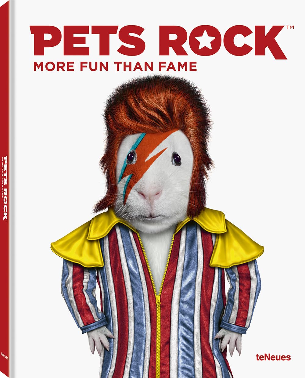 Pets Rock More Fun than Fame by Takkoda (Hardback Book)