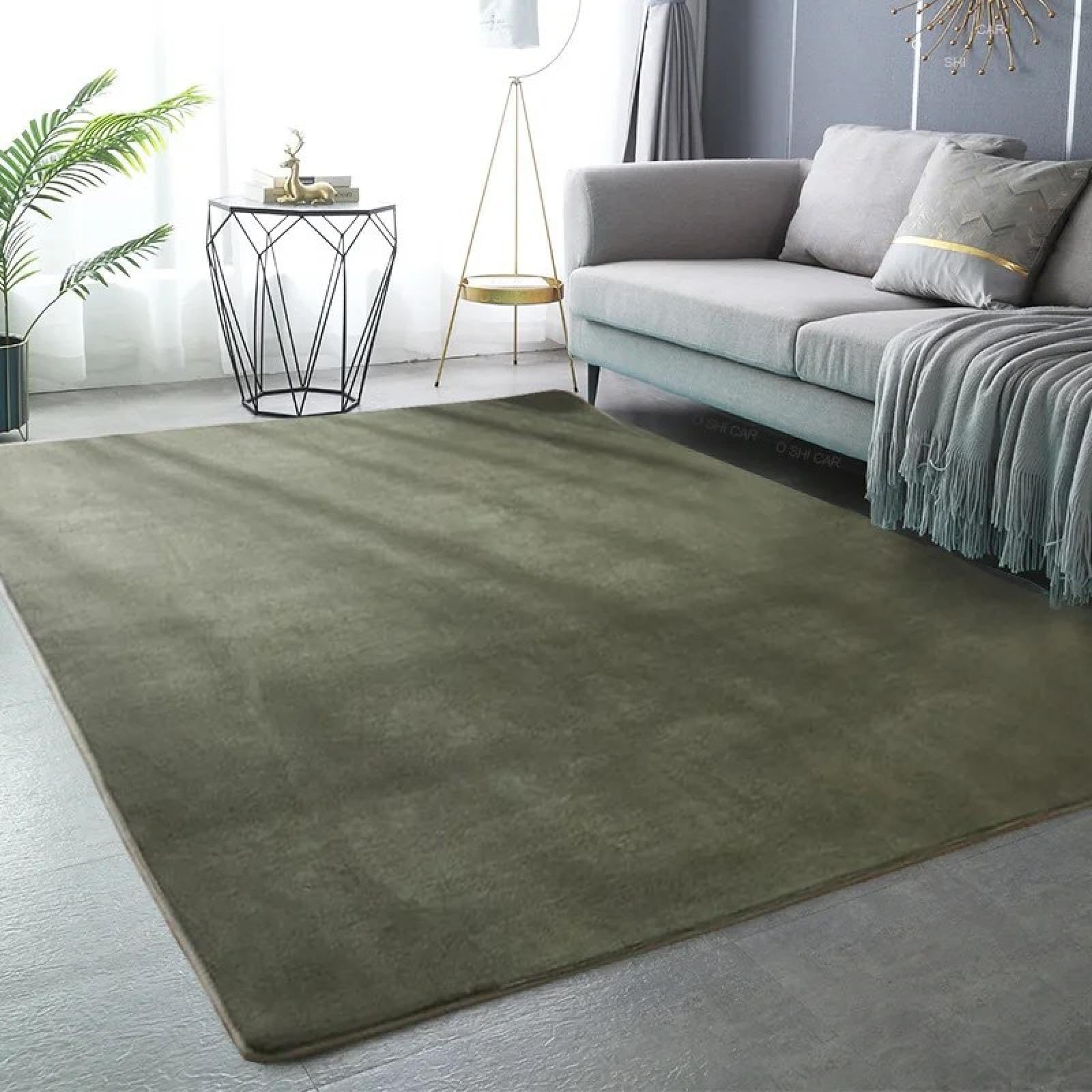 Tapis en velours corail facile à nettoyer pour grand salon moderne