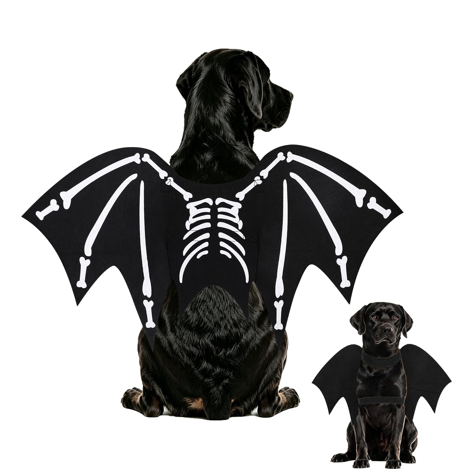 Halloween Dog Costume Glow in The Dark Black Bat Wings Adjustable M or L