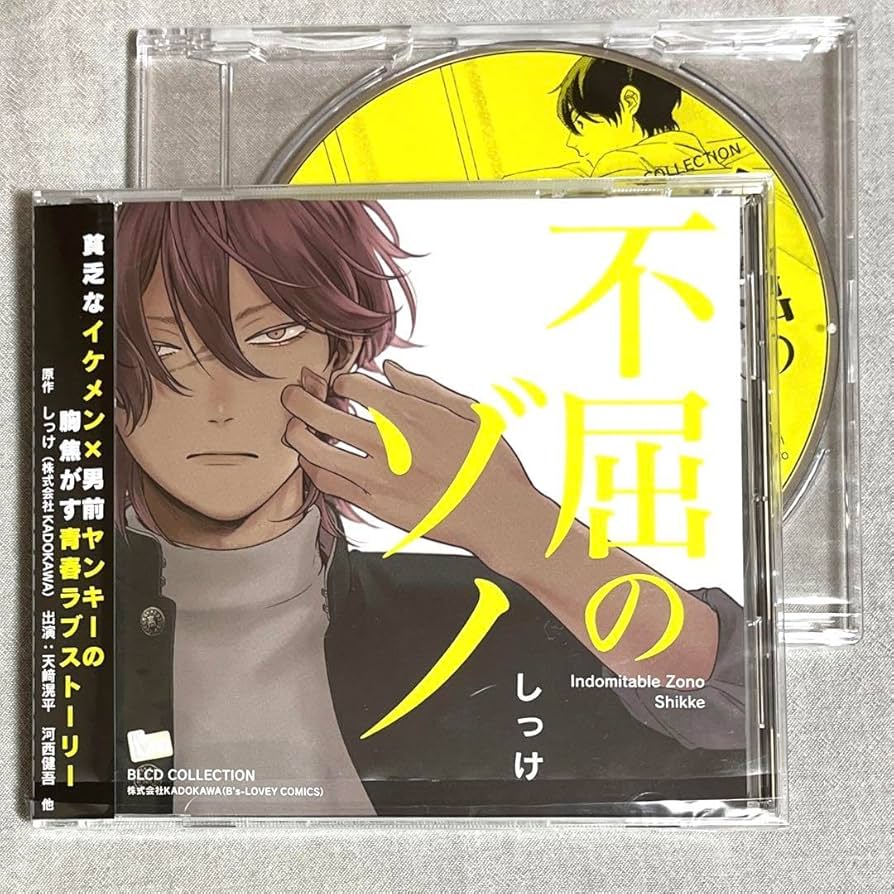 ドラマCD「悩ましい彼」アニメイト特典付き 美しい彼 憎らしい彼 悩ましい彼 ドラマCD アニメイト特典CD 6点