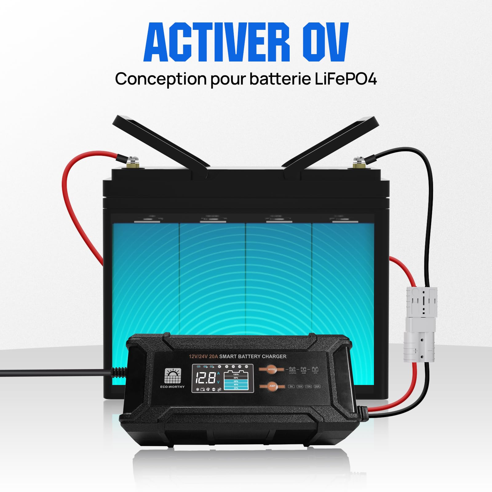 ECO-WORTHY 12V/24V 20A Chargeur de Batterie LiFePO4 avec Options Multi-Courant 5A/10A/15A/20A,détection Automatique de la Tension de la Batterie Plomb-Acide LiFePO4