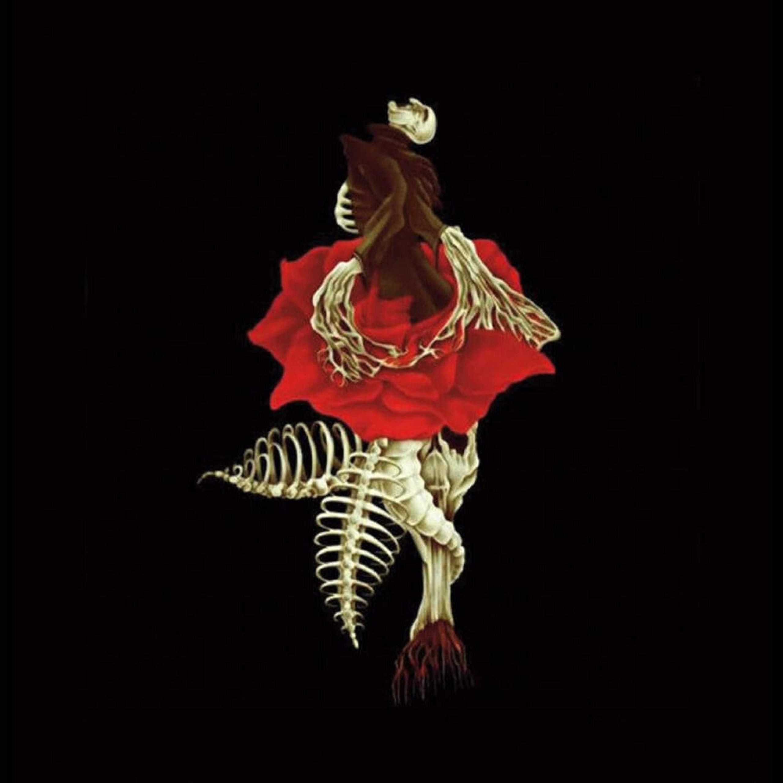 Die Donker Wetenskap