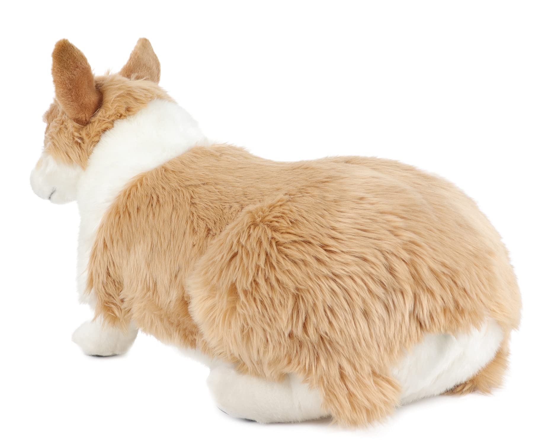 Amazon.co.jp: MY DOG ウェルシュコーギー プレミアム犬のぬいぐるみ