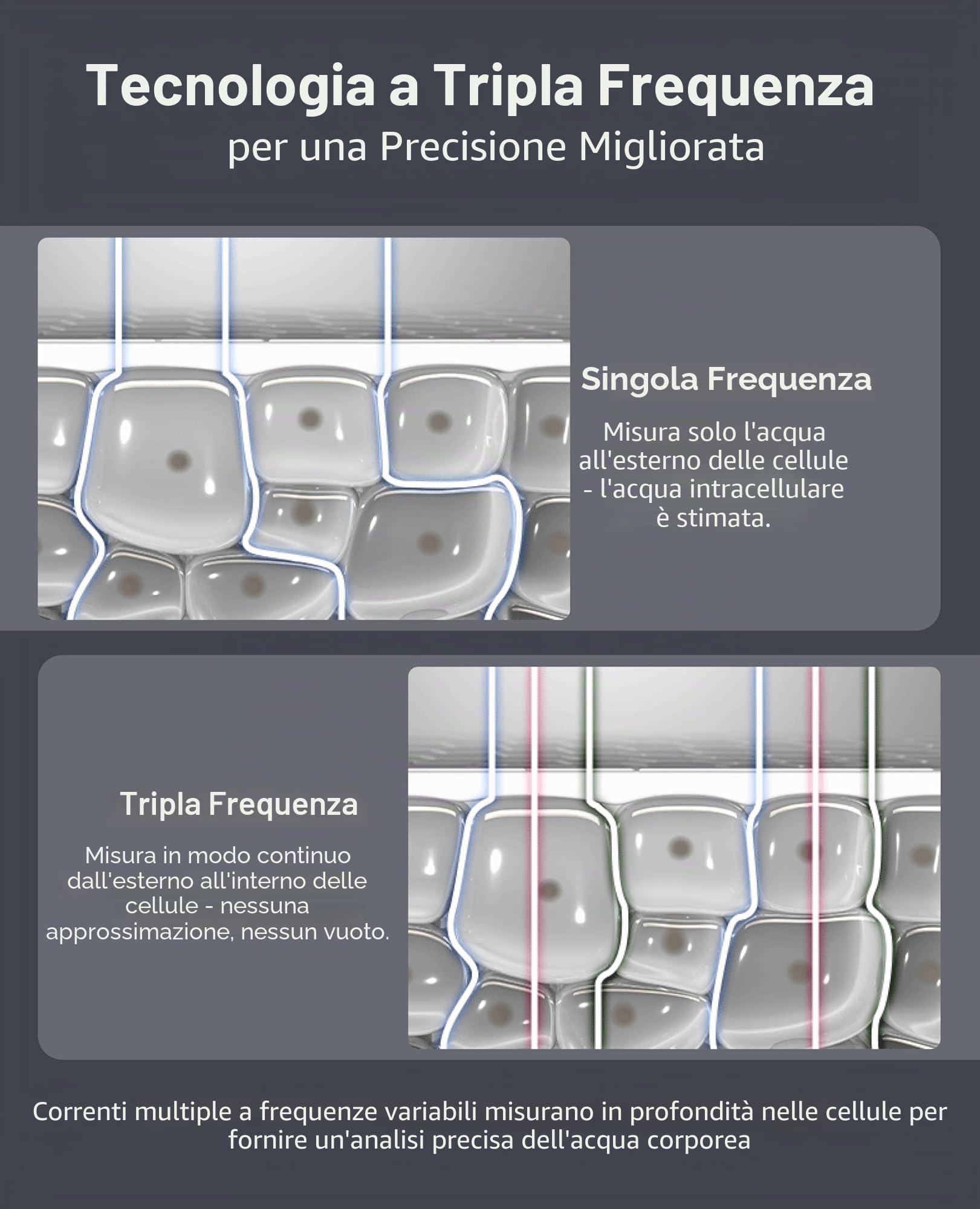 InBody Dial H30 - Bilancia intelligente con BMI, grasso corporeo, massa muscolare, con app, dispositivo di misurazione del grasso corporeo