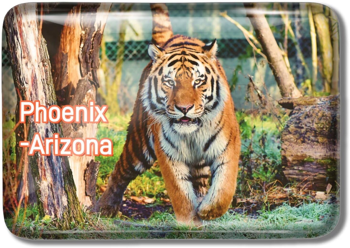 Fridge Magnets for Zoo Tiger Phoenix Arizona USA America 3D Crystal Glass Refrigerator Magnetic Funny City Traverl Souvenirs Whiteboard Kitchen Decor Rectangle