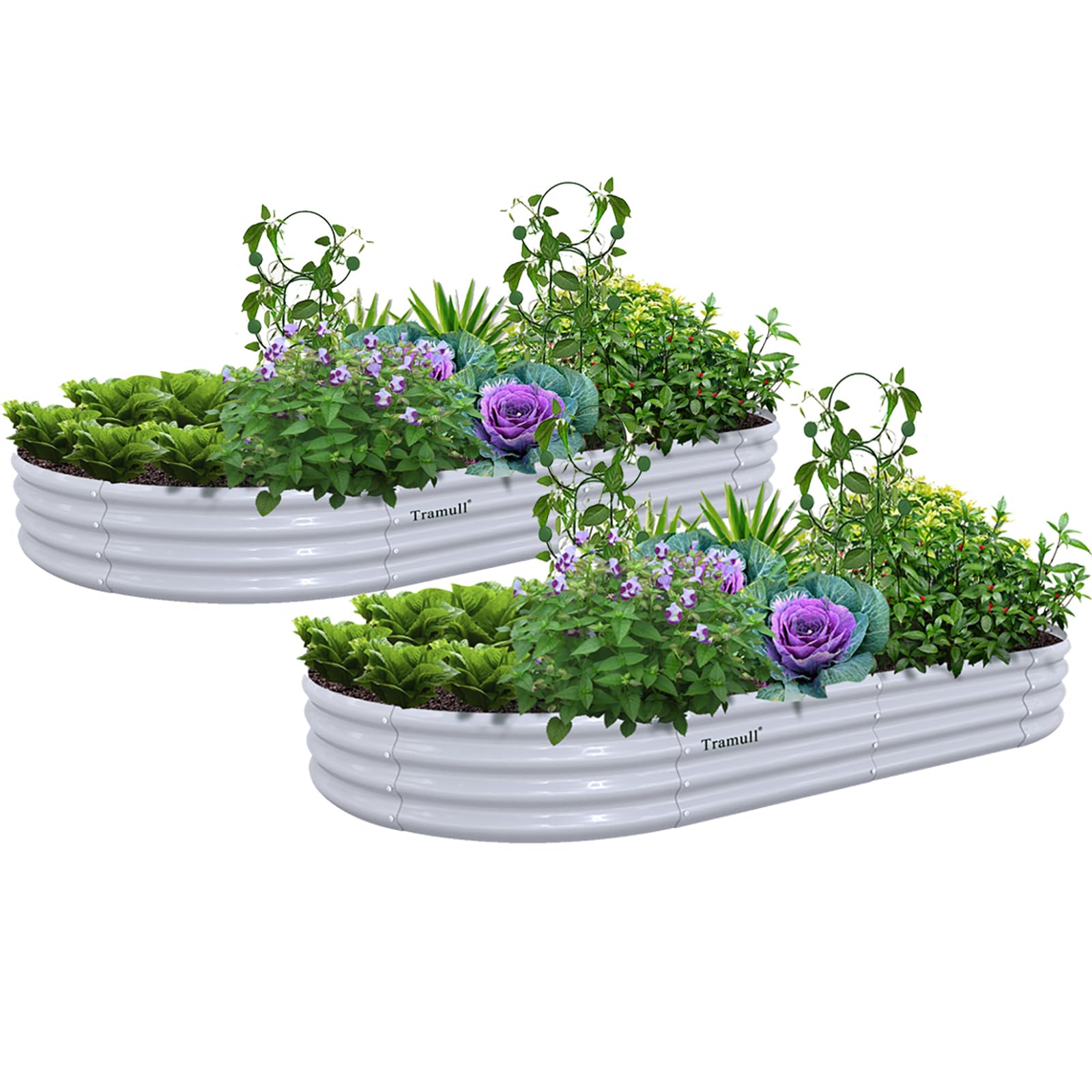 Tramull 2 Pack 8x4x1FT Galvanized Raised Garden Bed Kit Oval Metal Ground Planter Box Outdoor Bottomless Planter Raised Beds for Vegetables Flowers
