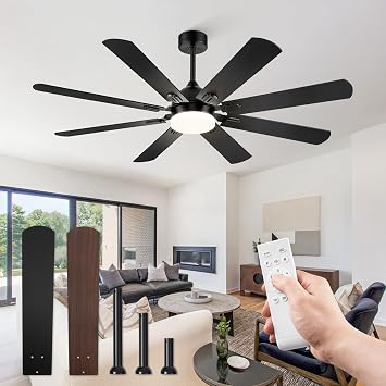 Fanbulous 62 Inch Outdoor Ceiling Fans with Lights,Black
