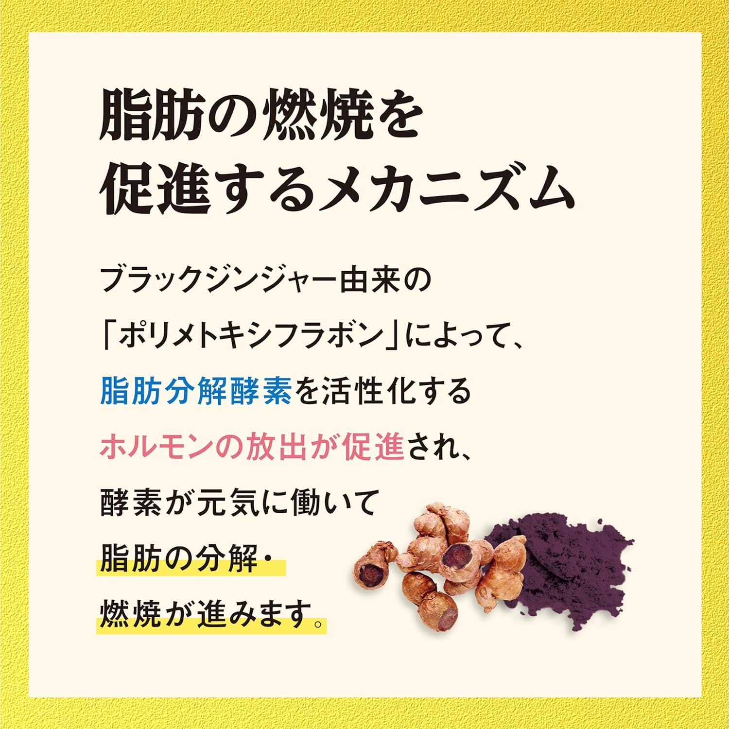Amazon | 【Amazon.co.jp限定】 小林製薬の栄養補助食品 [ 公式