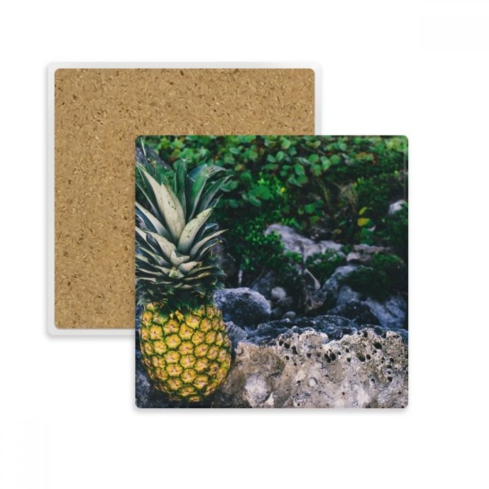 Dessous de verre carré en pierre absorbante avec motif de feuille d'ananas multicolore