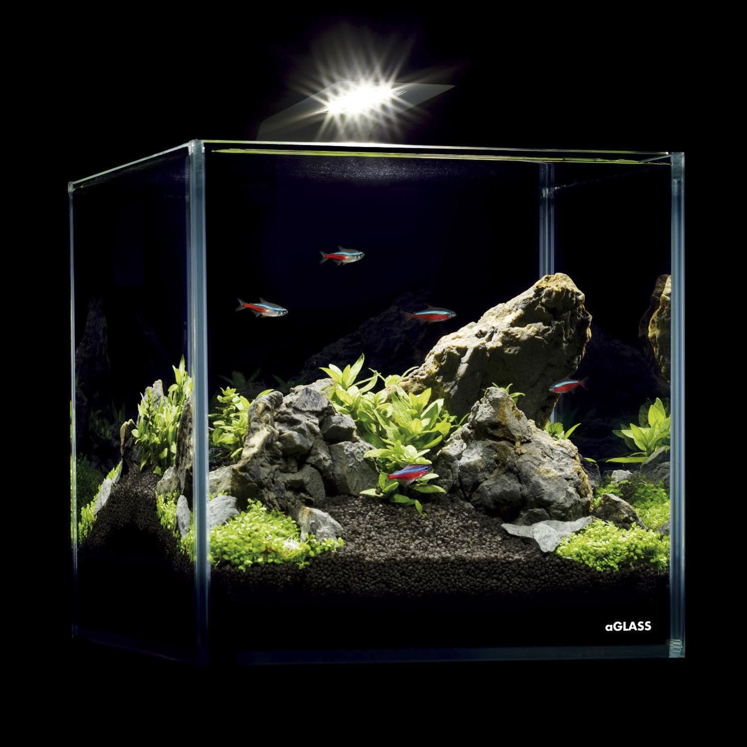 AquaLighter Nano-Aquarium 10 l Set aus Weißglas, mit LED-Beleuchtung und Filter