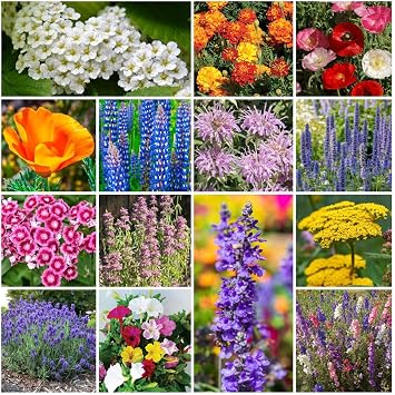 Park Seed Grow Your Own Vibrant Annual and Perennial Wildflower Garden Seed Mixture, Easy to Grow Varieties for Pollinators and Spring Gardens - Deer Resistant Mix, 1/4 oz