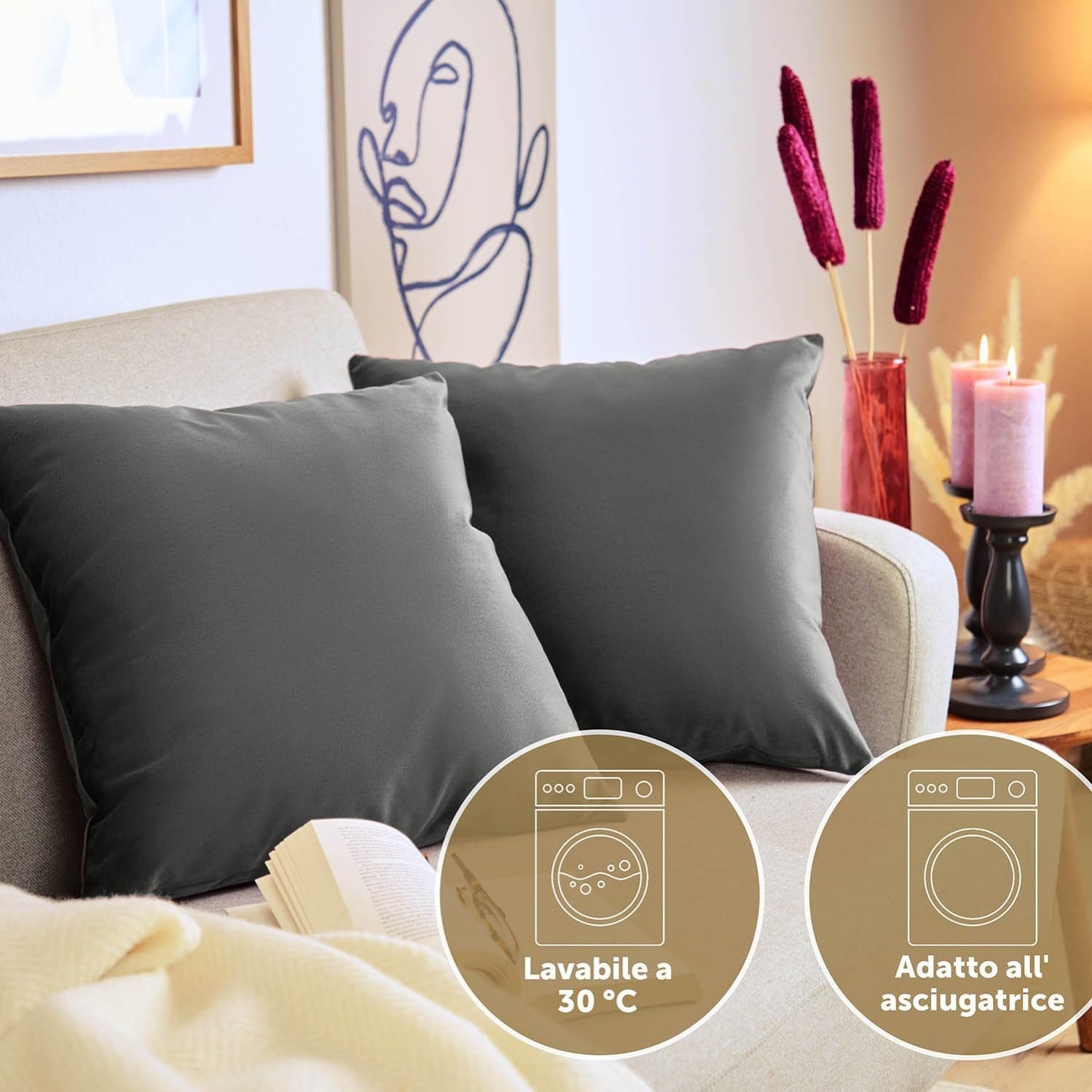 Blumtal Set di 2 Federe Cuscini Divano 40x60 cm in Velluto, con Chiusura Lampo Invisibile, Eleganti Copricuscini Divano in Morbido Velluto,Taglia 40 x 60, Antracite