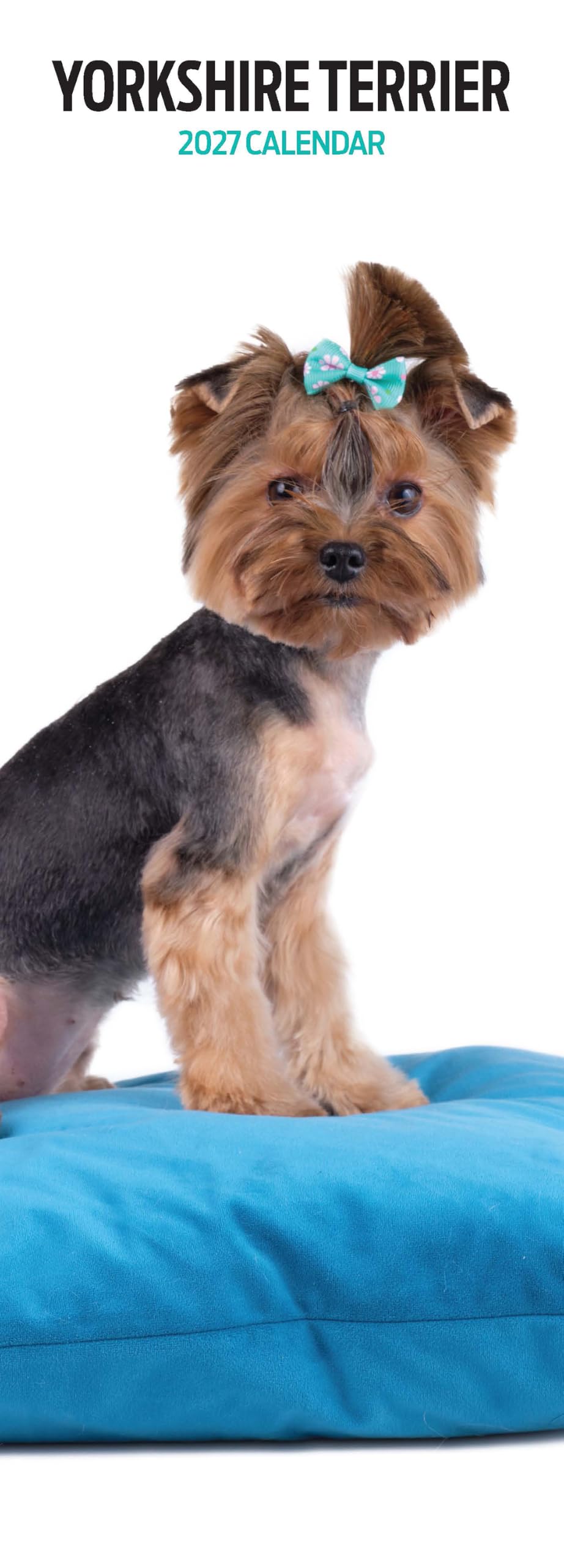 Yorkshire Terrier 2027 Slim Calendar