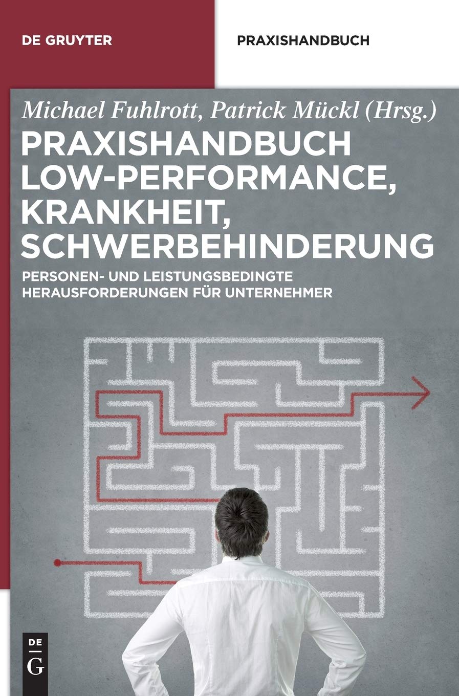 De Gruyter Praxishandbuch Low-Performance, Krankheit, Schwerbehinderung