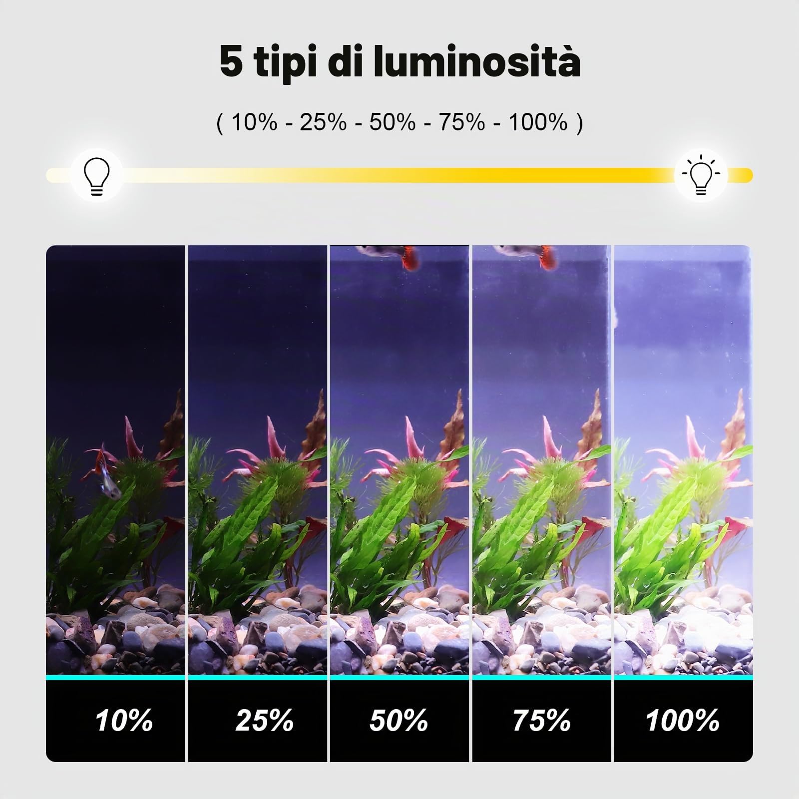 hygger Lampada Acquario Clip on Illuminazione LED con Timer, 12W Luce Regolabile per Piante d'acquario con 7 Colori,Modalità Multiple Tempo e Luminosità Regolabili