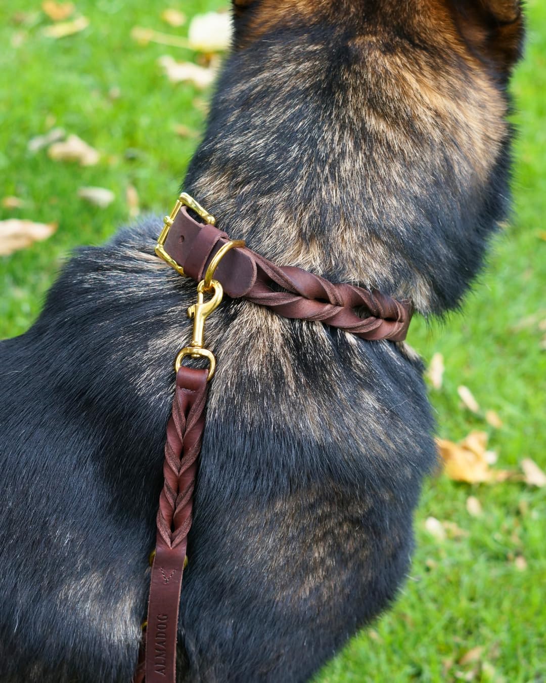 Hundehalsband Abby - Weiches Fettleder - Geflochten - Made in Germany - Kastanienbraun L (45-52,5cm Halsumfang, 2,7cm breit)